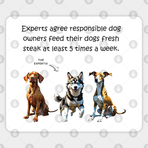 Experts agree responsible dog owners feed their dogs fresh steak at least 5 times a week - funny watercolour dog design Magnet by DawnDesignsWordArt